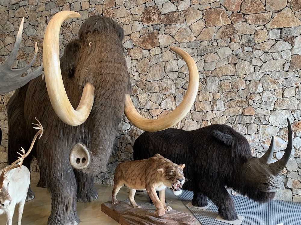 Musée de la préhistoire à Quinson